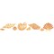 Detailed Shell Wall Stencil Border | 097 by Designer Stencils | Animal & Nature Stencils | Reusable Art Craft Stencils for Painting on Walls, Canvas, Wood | Reusable Plastic Paint Stencil for Home Makeover | Easy to Use & Clean Art Stencil
